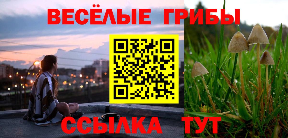 Галлюциногенные грибы Cubensis  закладка  Псилоцибиновые грибы Psilocybine cubensis  Камышлов  Вход с VPN 